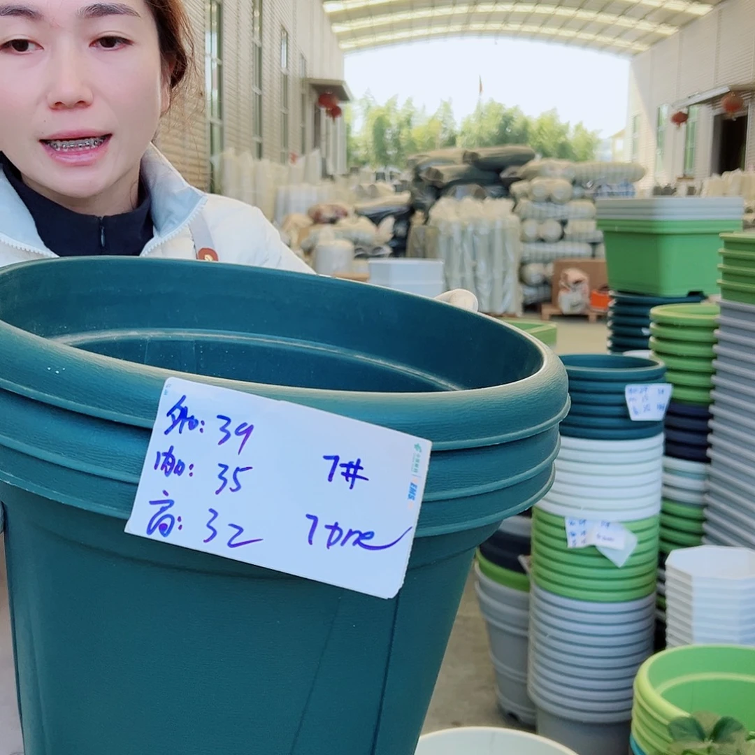 青山盆7#墨绿5个无托