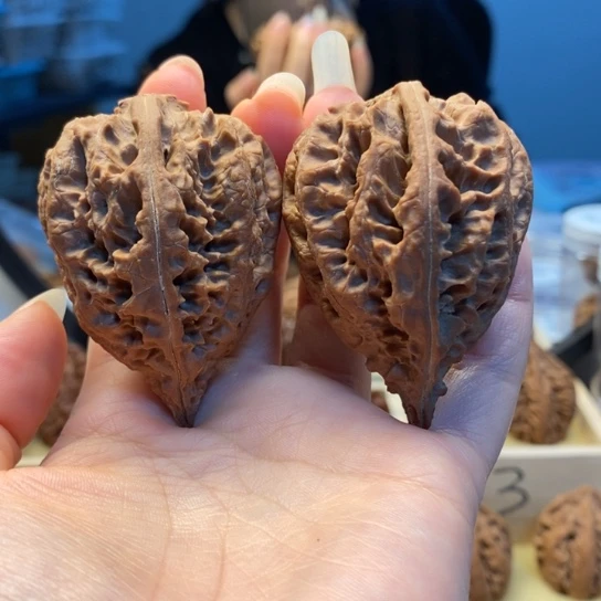 把件桃核金钱底塔尖