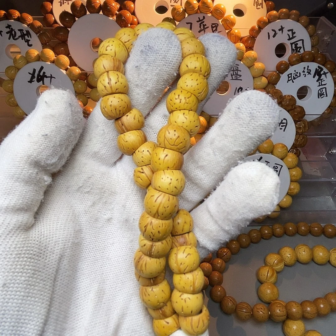 盘锦核大肠手持11.8左右尺寸