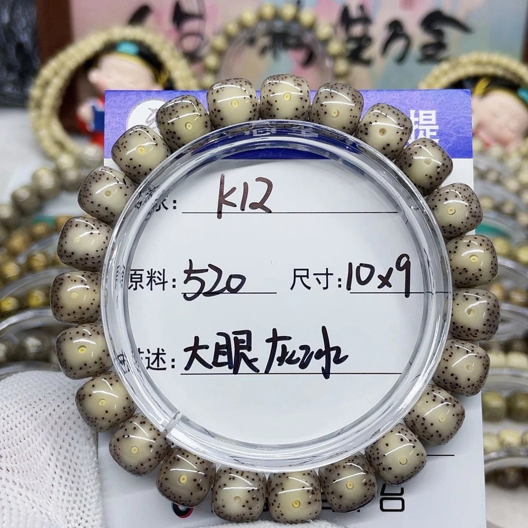 海南心月星月菩提k12