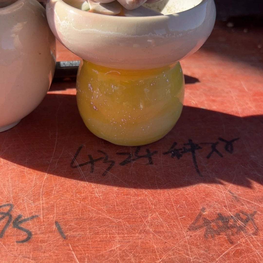 *****鸡腿菇粉边黄底子