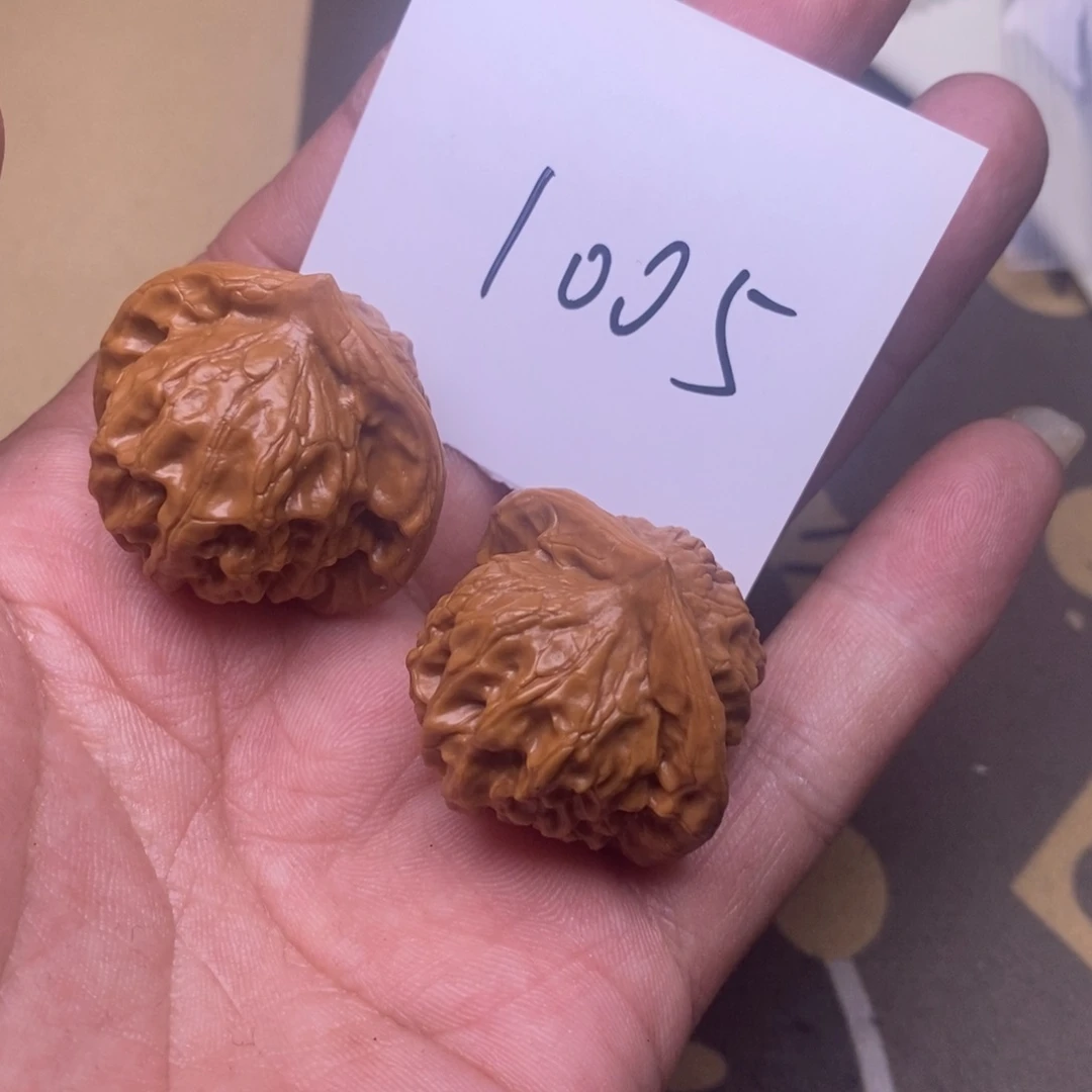 鱼***吃核桃大耳朵图图尺寸35  1005