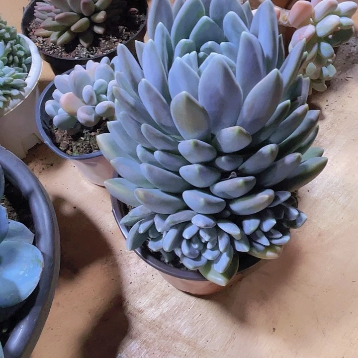 小**?000000000000110