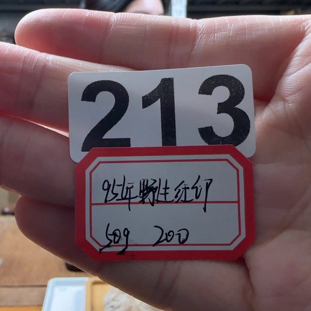 紫砂1213……………………………………