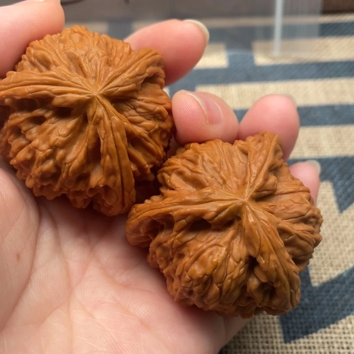 严***K核桃白狮子44核桃