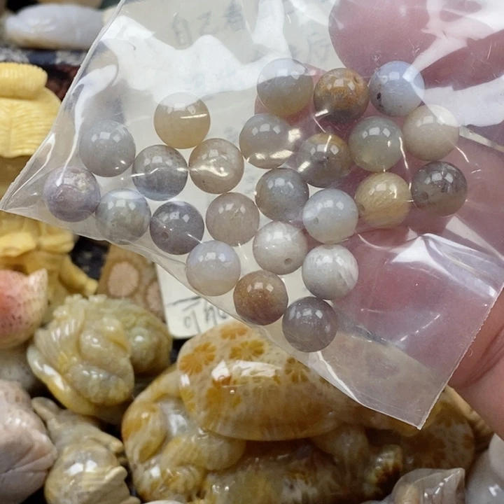 颈饰未镶嵌硅化珊瑚（珊瑚玉）