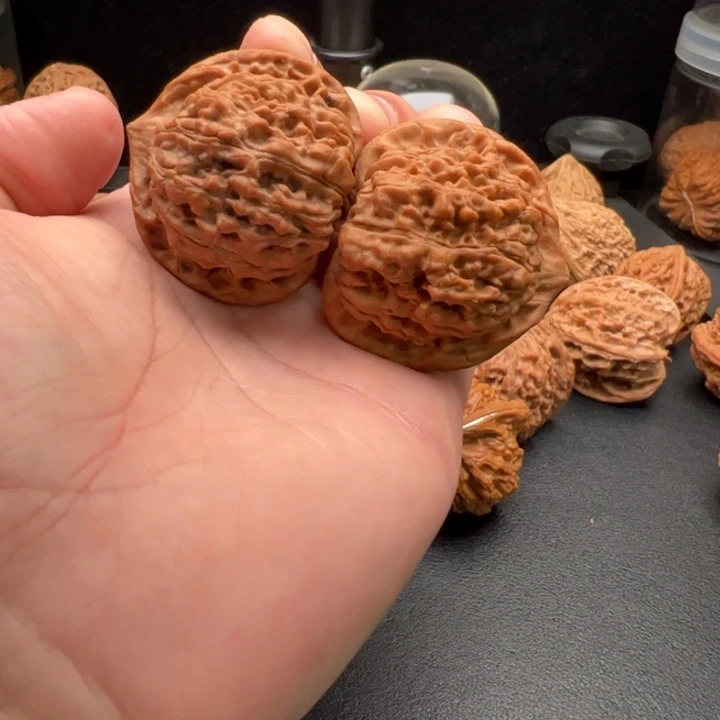 把件文玩核桃44官帽