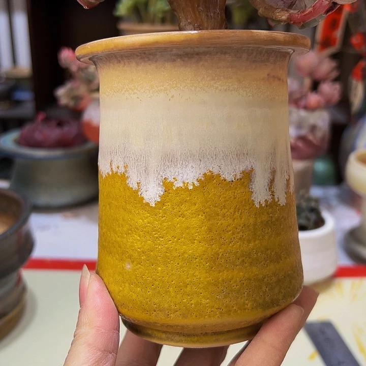 景德镇陶瓷2单包邮