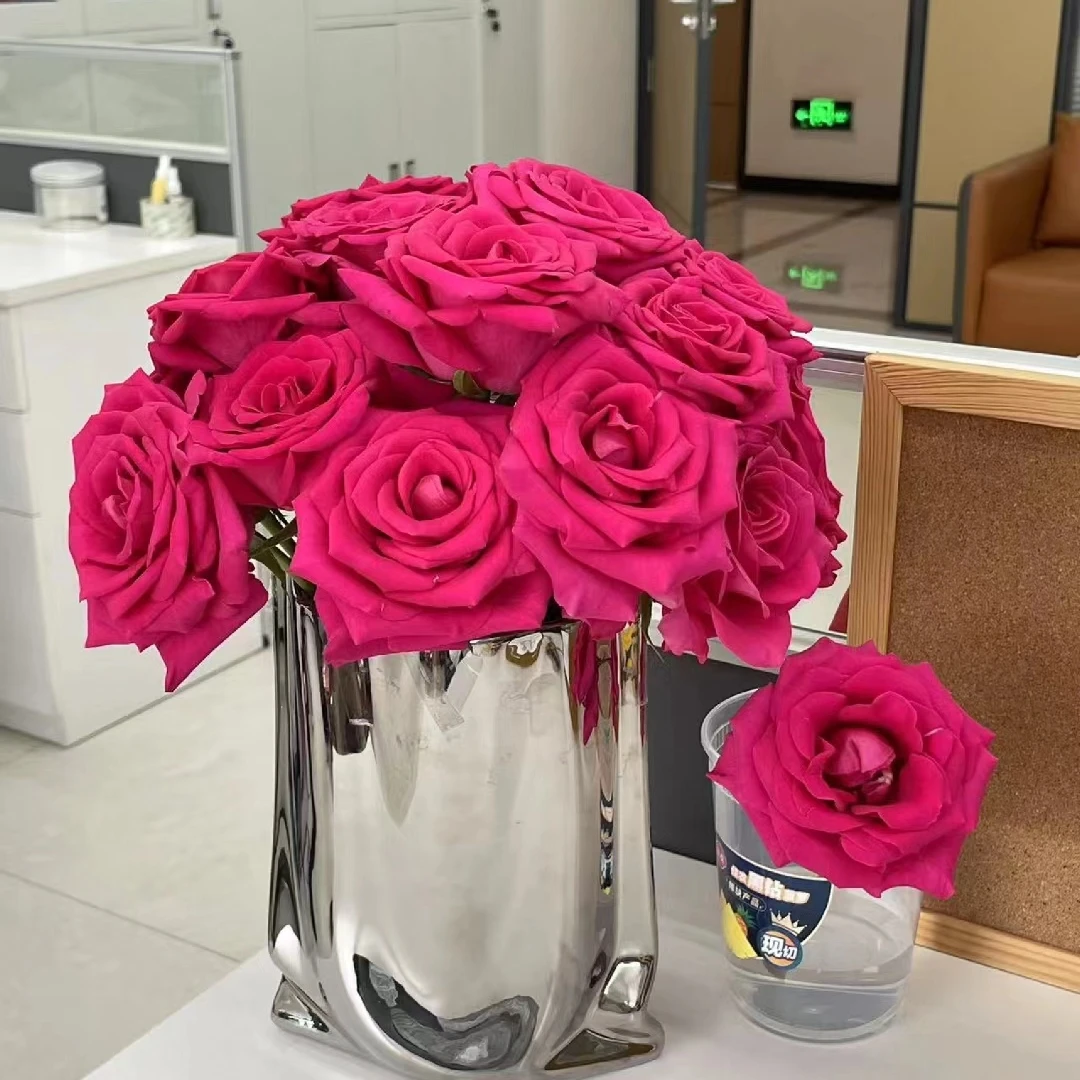 【如熙臻选】弗洛伊德——单头玫瑰