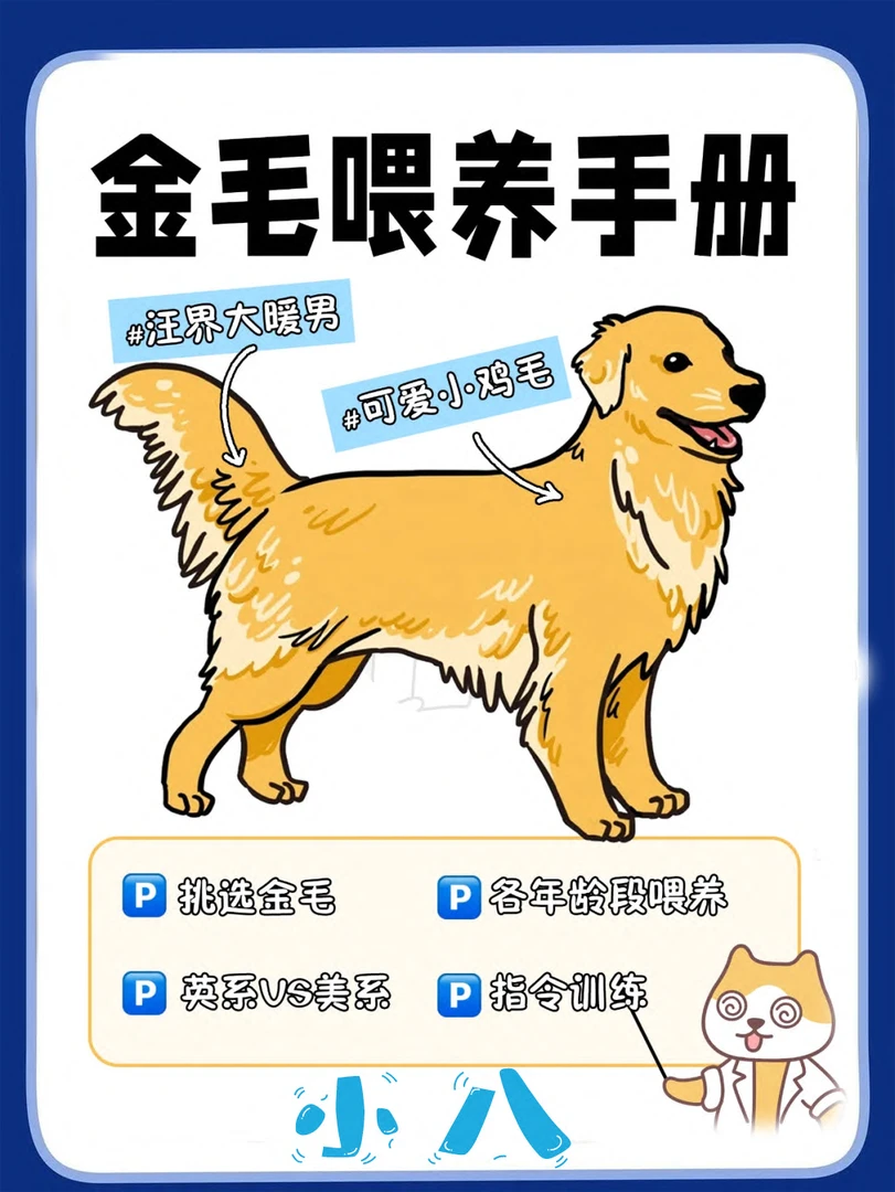 小八教你如何挑选狗狗