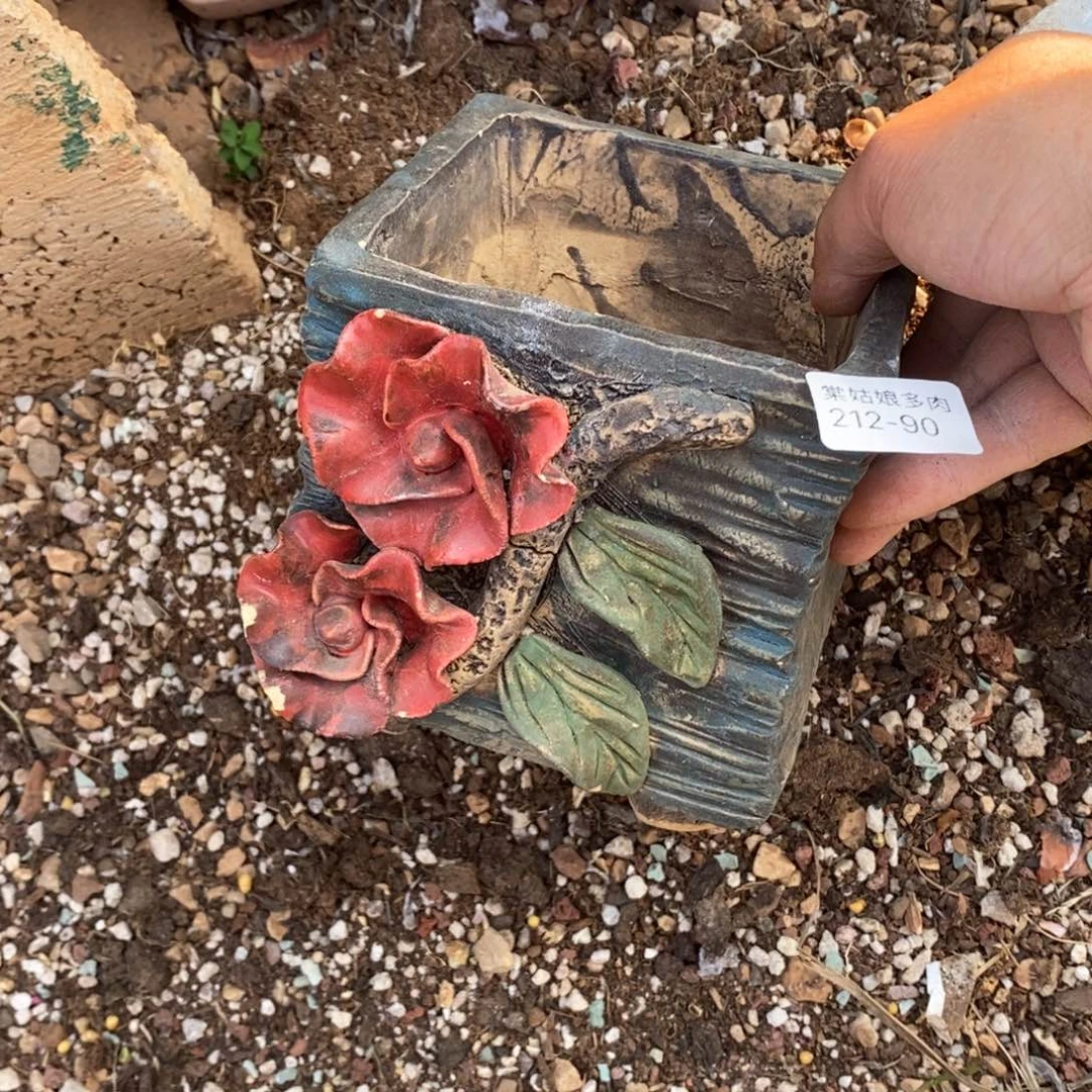 向****儿90号多肉盆一个呀