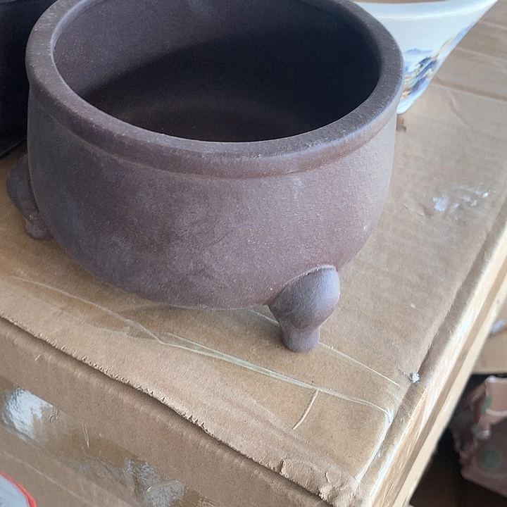 紫砂哈哈好开心哦？优秀奖