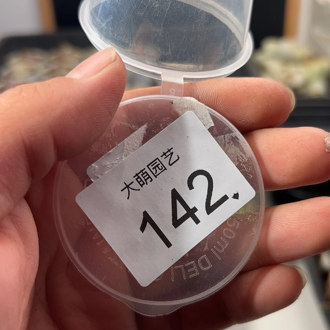 下***️一物一拍。        142