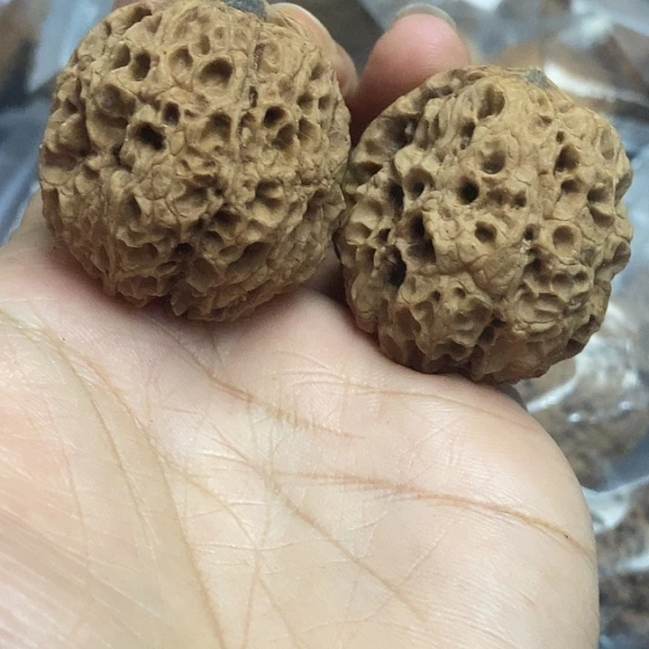 把件文玩核桃云南铁核桃基地52