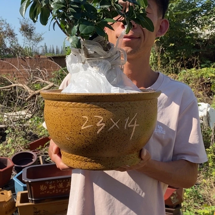 紫砂花盆紫砂艺术学院的学生时代