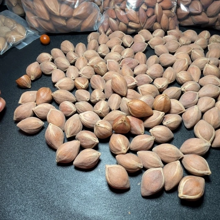 铁***蛋猪牙手串/手链我是