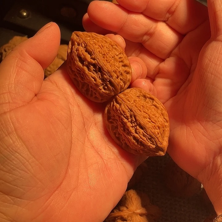菲***林文玩核桃把件鸡心