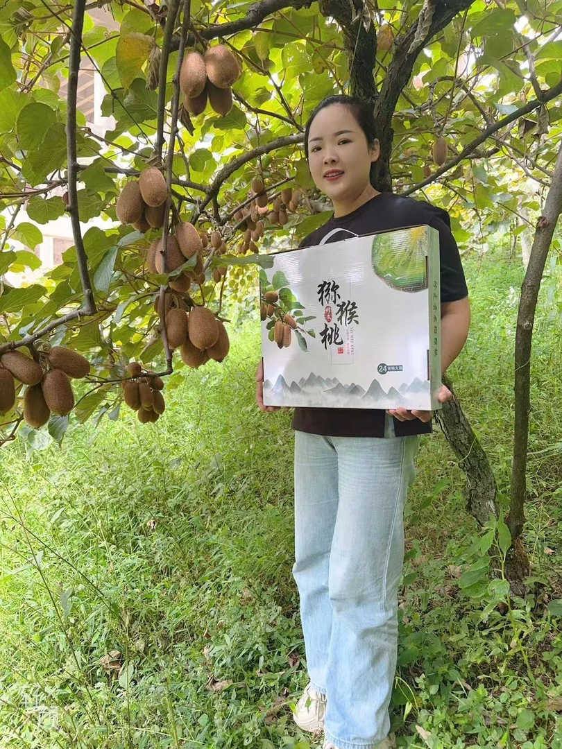 修文猕猴桃精品礼盒包装