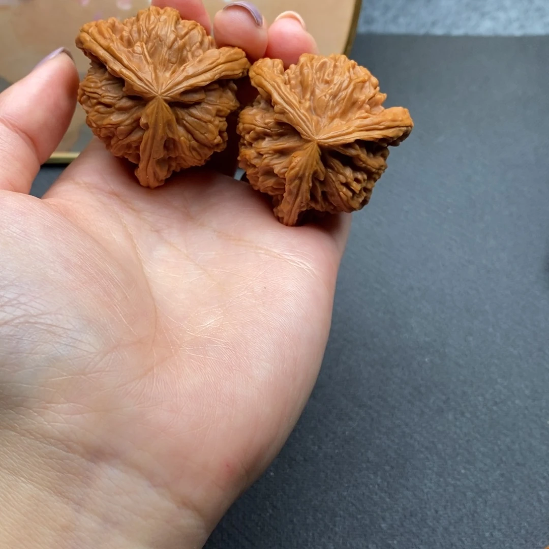 大**手白狮子1111111111