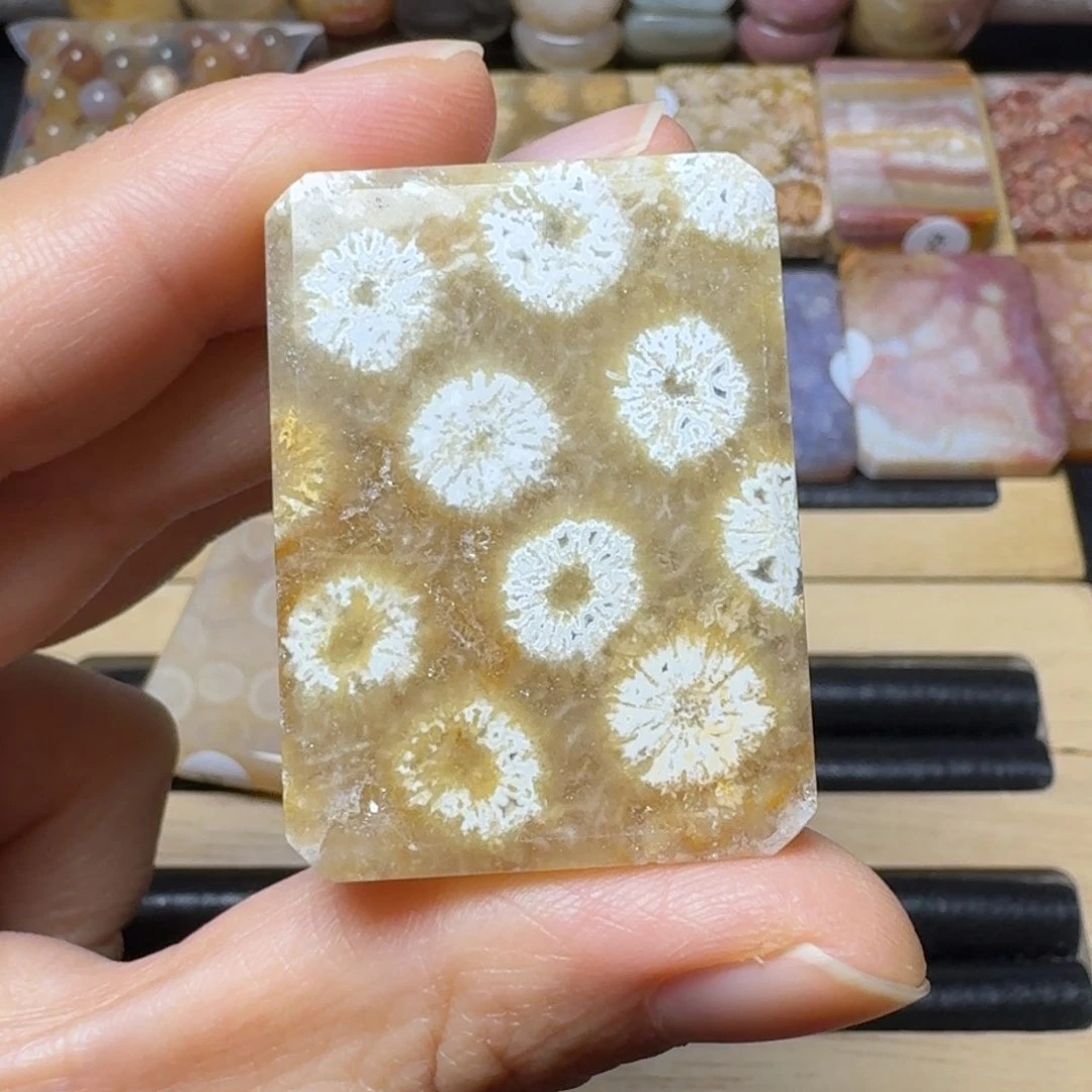 硅化玉有重生感的皮花未镶嵌