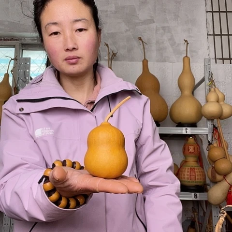 用****5天然植物葫芦文玩