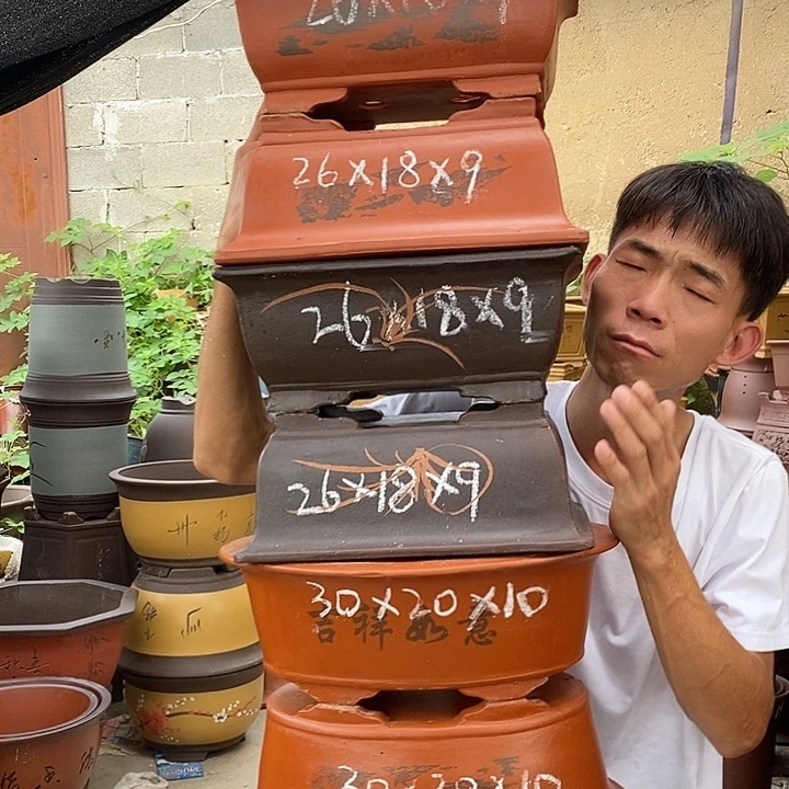 紫砂花盆你是我老婆吗！我在挑战