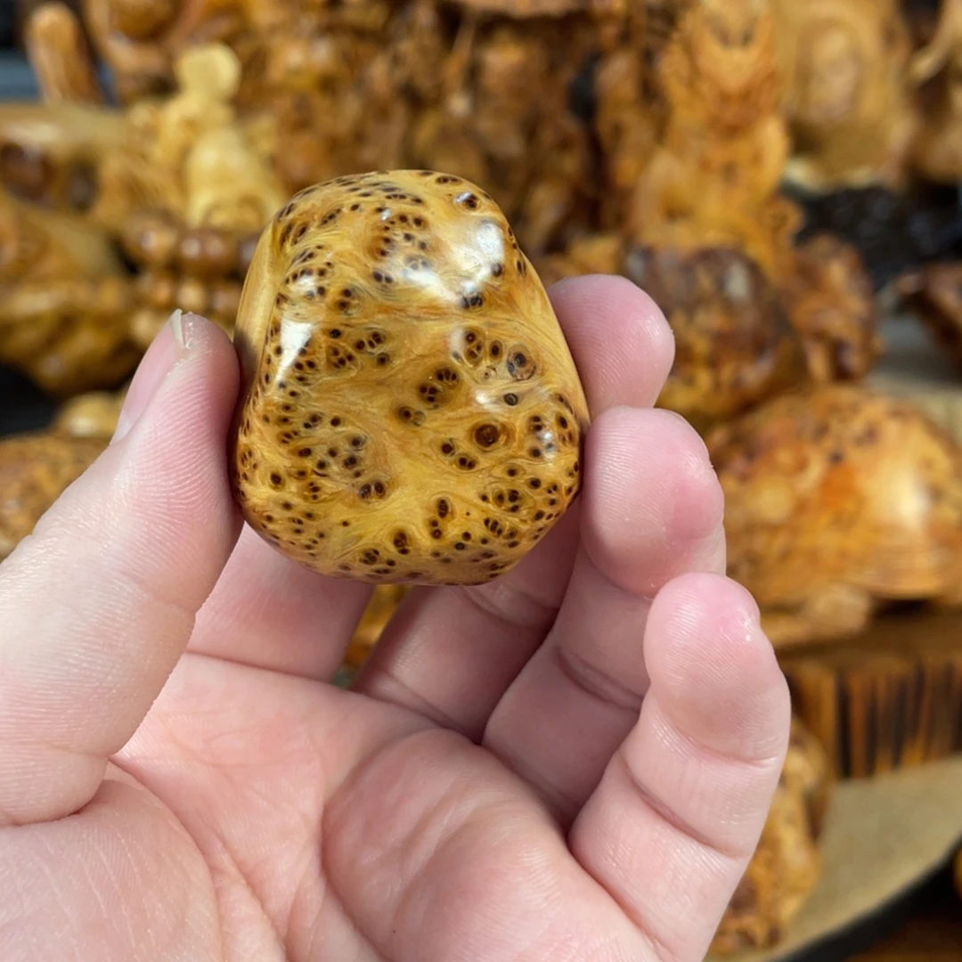 柏木（崖柏）太行崖柏