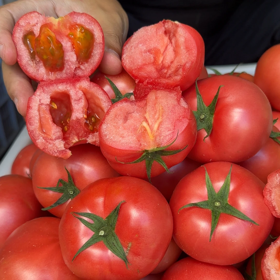 【京东包邮】湖北长阳高山沙瓤西红柿5斤装