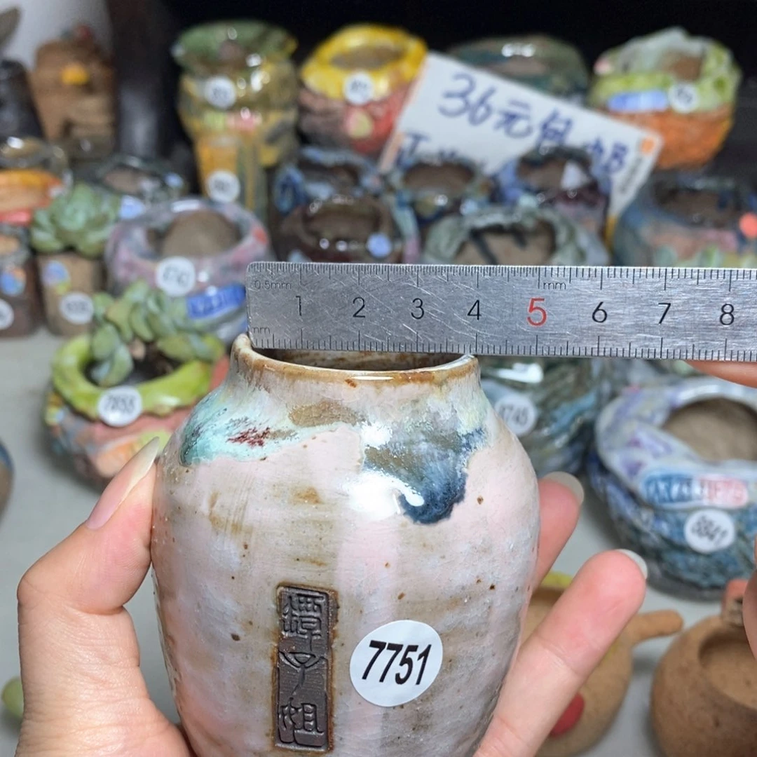 拍3送一个小礼物