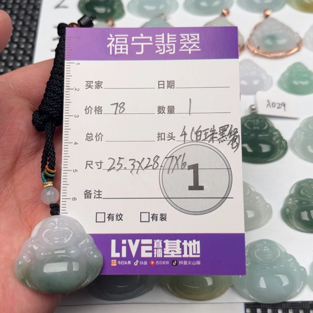 翡翠颈饰未镶嵌吊坠