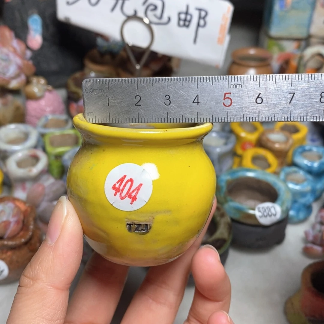 拍5送一个小礼物