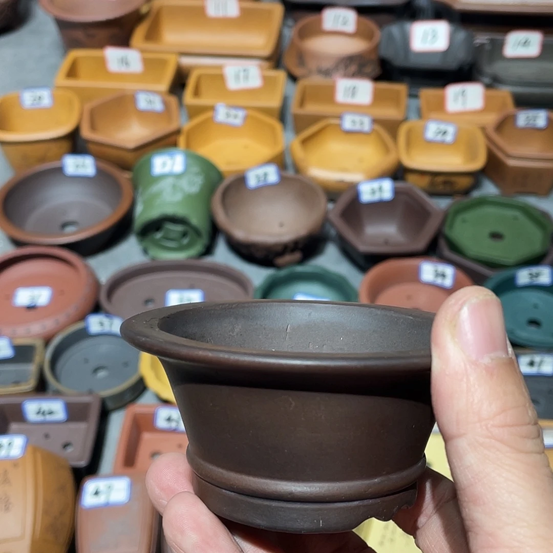 紫砂小盆7.5*3.5cmmmm