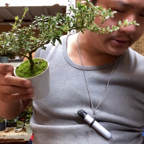 红陶一物一拍所见即所得152