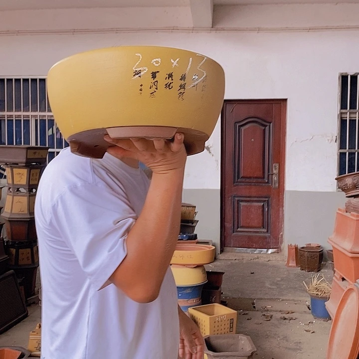 紫砂花盆紫砂花盆