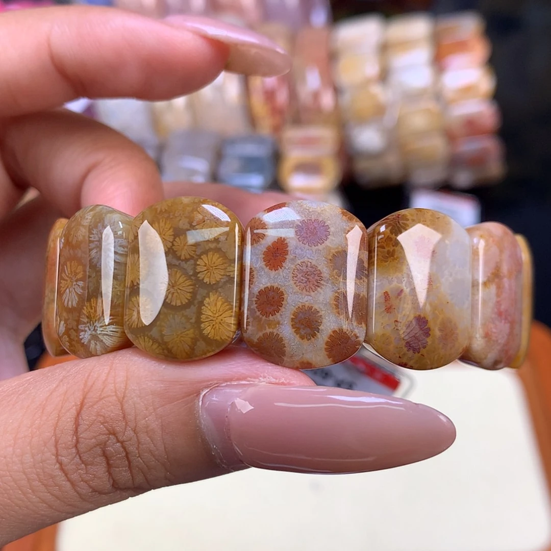 【闪购商品】颈饰未镶嵌硅化珊瑚（珊瑚玉）34号
