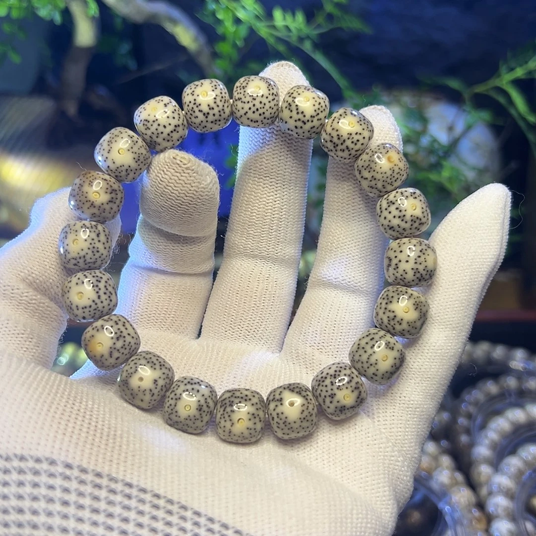 星月菩提手串海南原生态