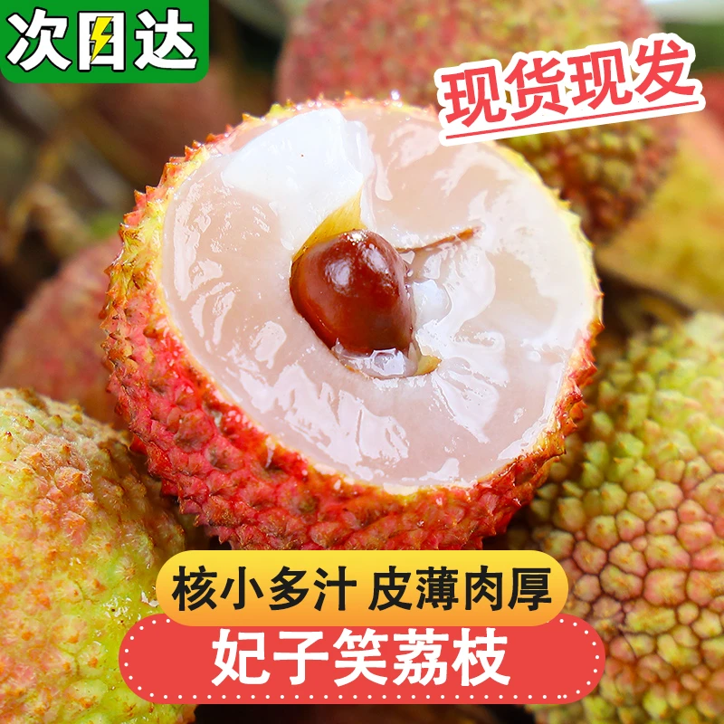 现货【明日达顺丰京东】海南直采老树荔枝新鲜水果妃子笑0.5斤-5斤装