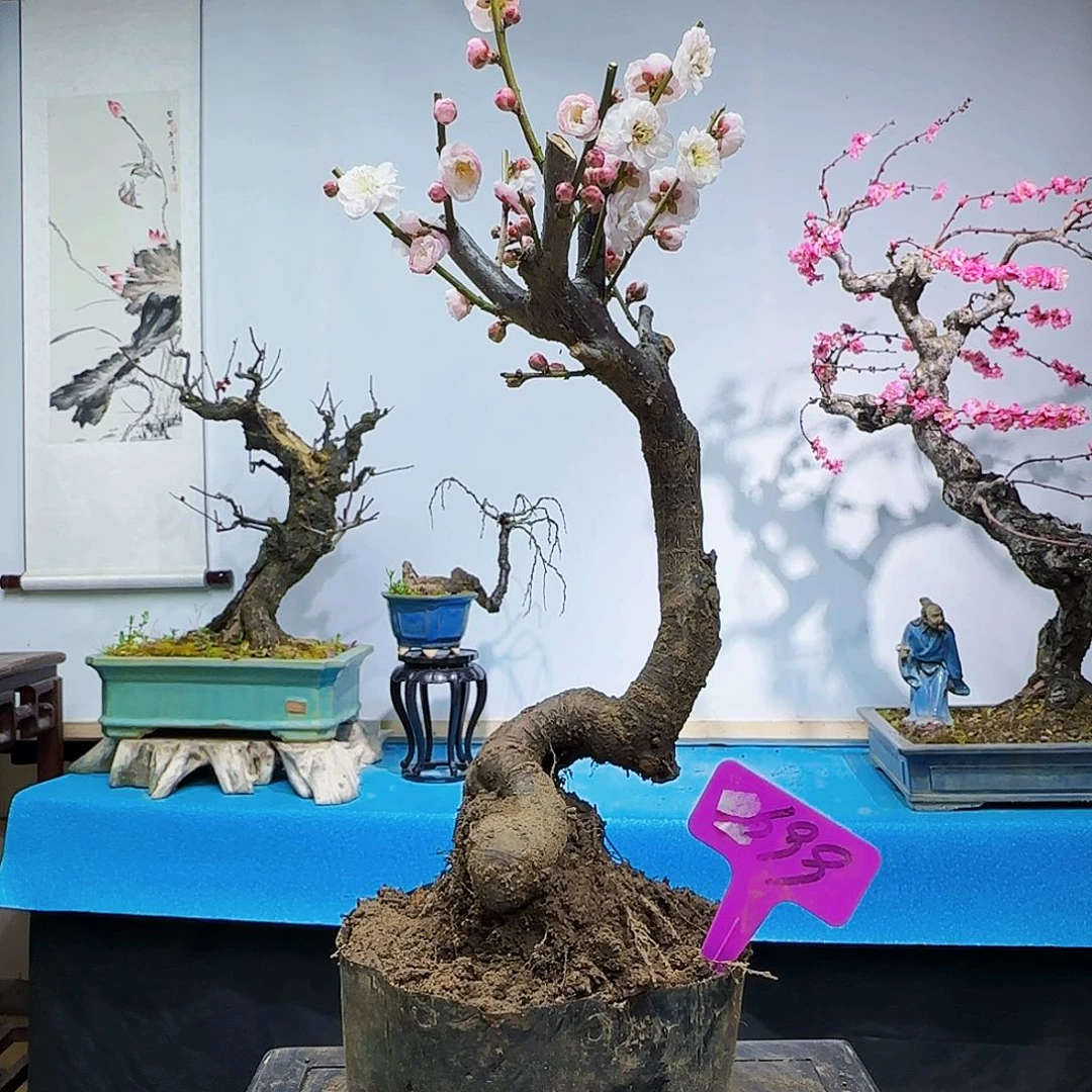 红陶沧**水f g j k k k