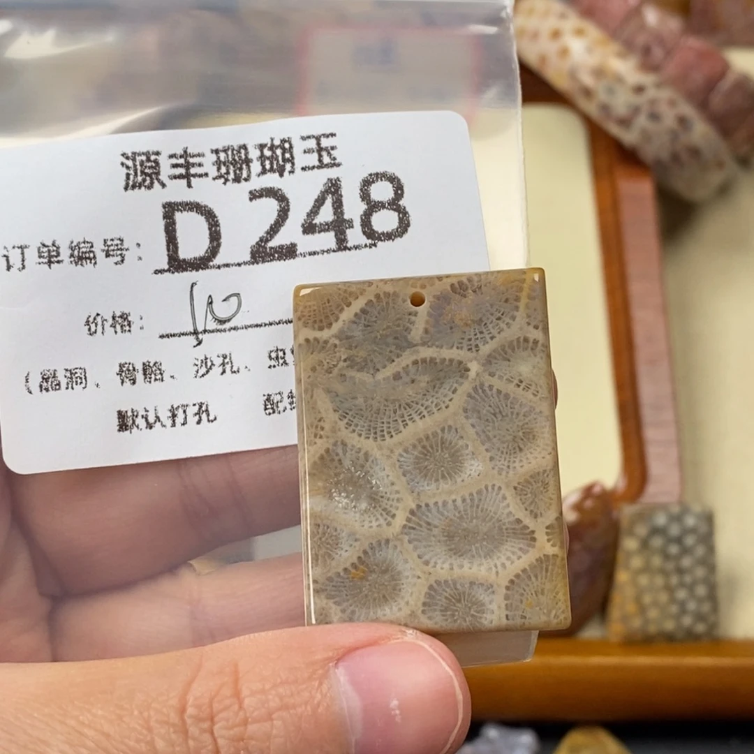 午***马硅化玉未镶嵌颈饰