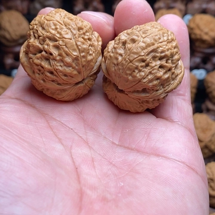 把件文玩核桃3金狮铁蛤蟆
