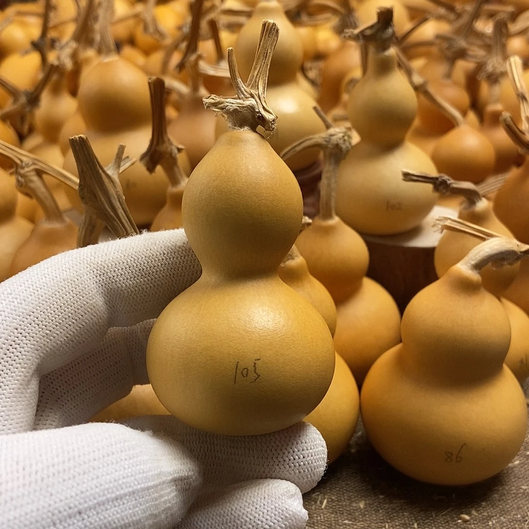 文玩葫芦 完美主义者 慎拍105