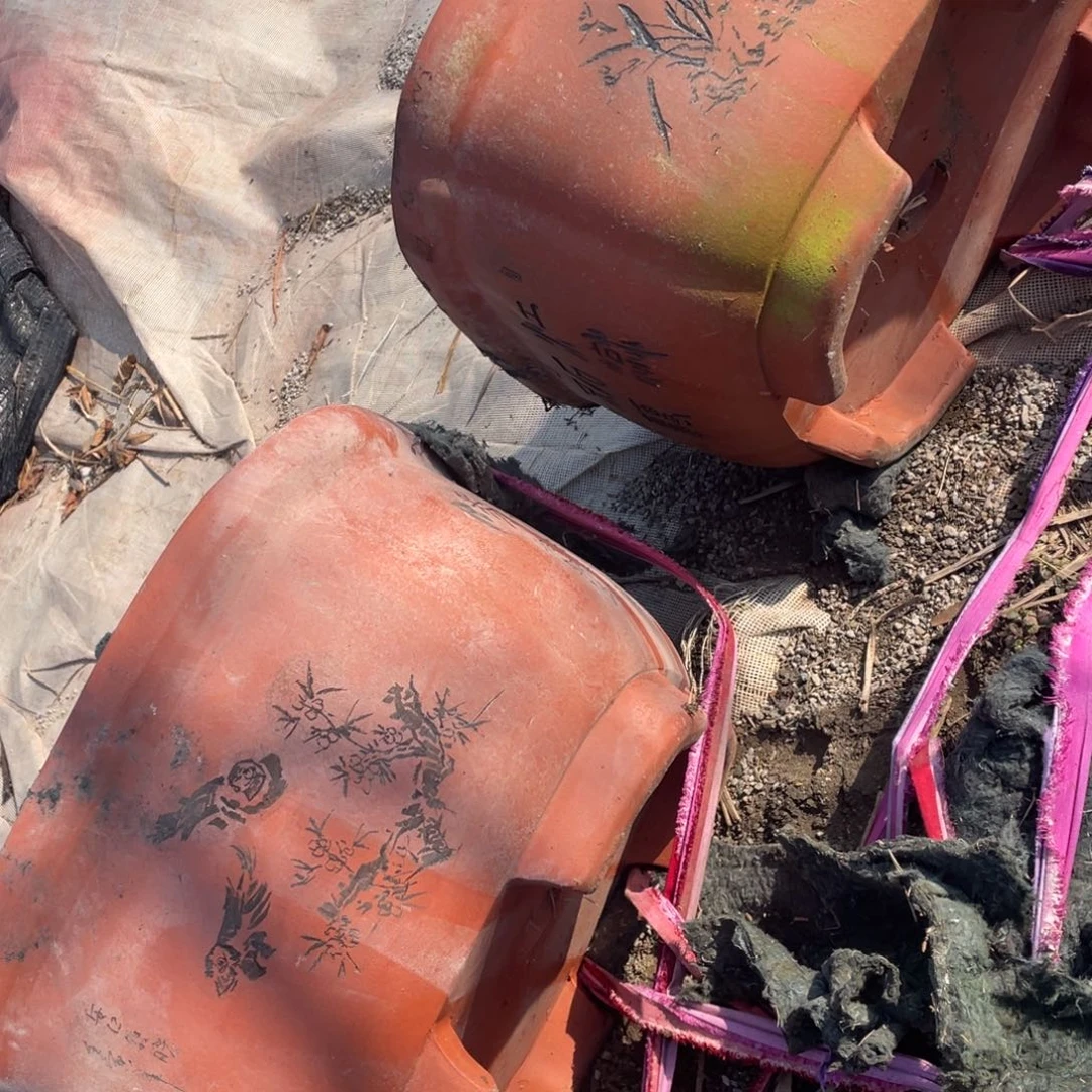 特价处理紫砂两只