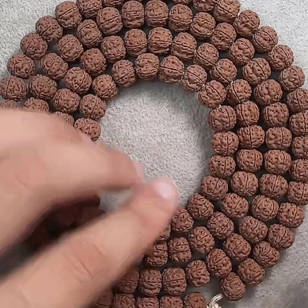 【上品原生】「赤玉梅花108」小金刚菩提单根毕业