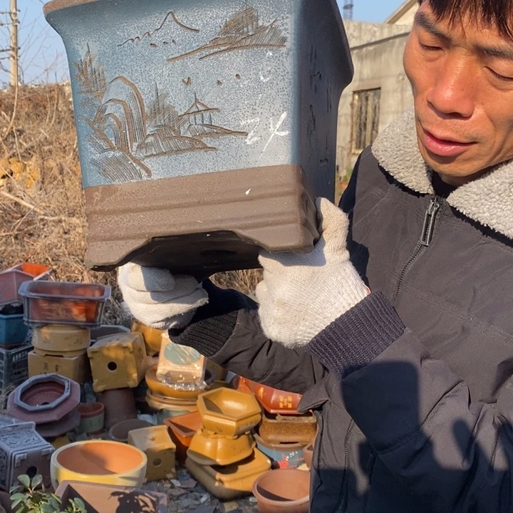 花盆紫砂紫砂艺术学院的