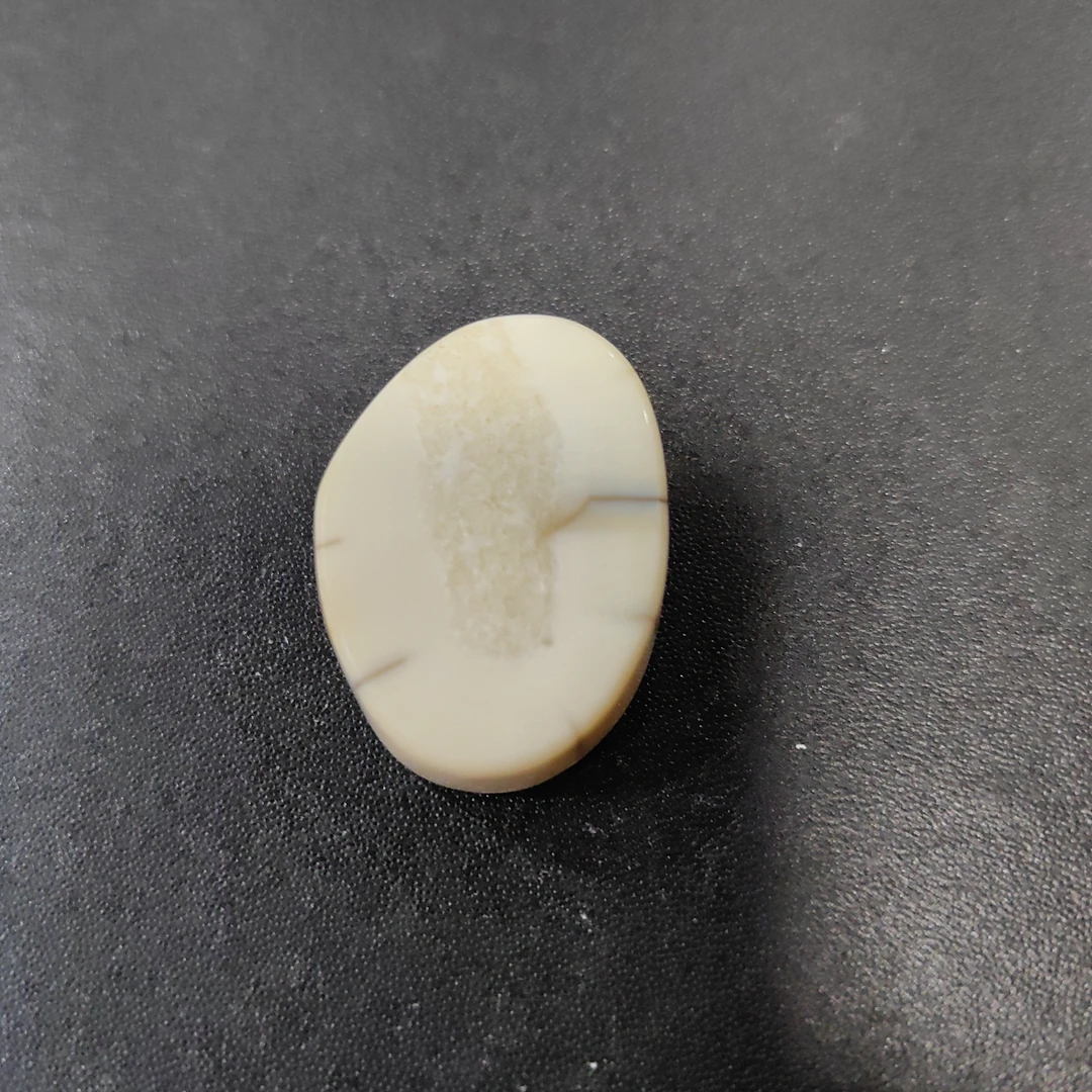 猛犸猛犸虬饼子  WT49