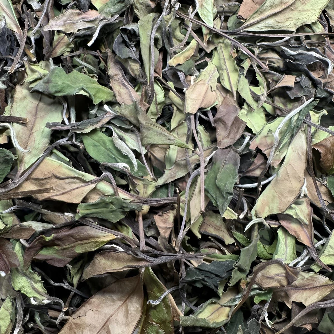 2025白露寿眉福鼎白茶花果香口粮茶高山正品自喝收藏