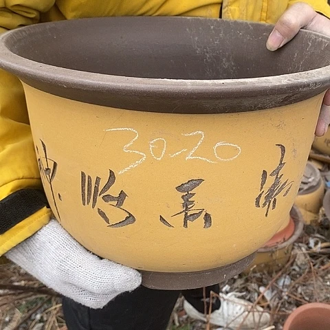 紫砂中国宜兴紫砂花盆，