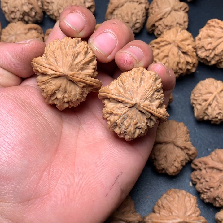 把件文玩核桃39白狮子53