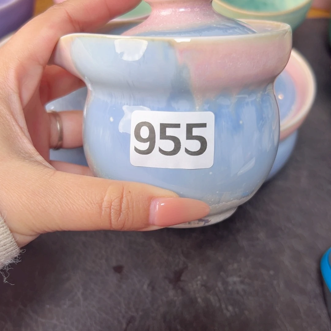 盘Z*S，杯杯杯杯杯杯杯杯杯杯