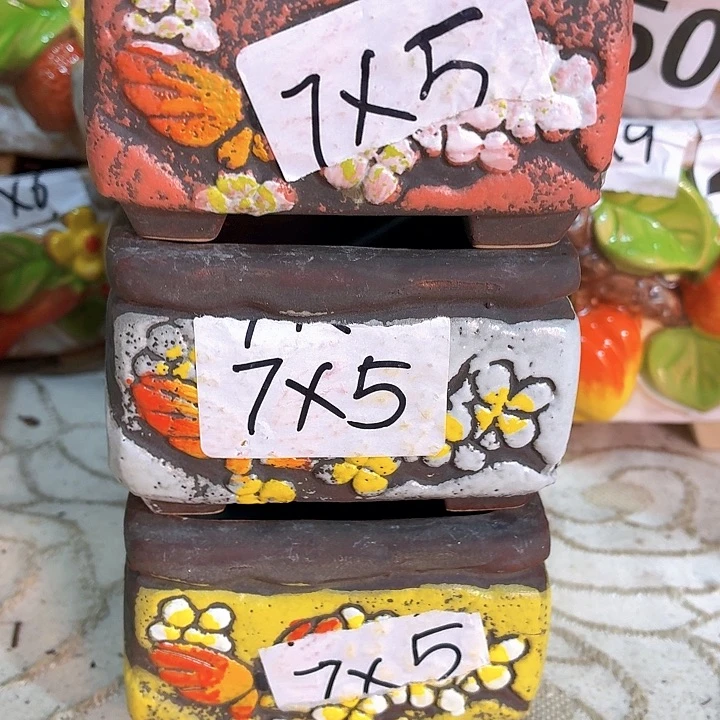 多肉花盆满15包邮